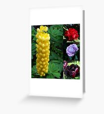 A Collage of Spring and Summer Flowers Greeting Card