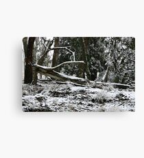 NSW Tablelands Canvas Print