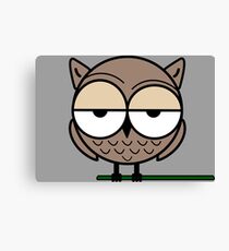 arrogant owl Canvas Print