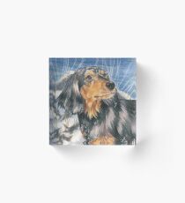 Snow Angel Acrylic Block