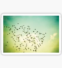 Birds Flying Photography, Birds Fly Sky, Mint Turquoise Yellow Sticker