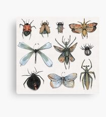 Entomology Canvas Print