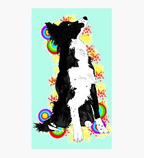 Border Color Photographic Print