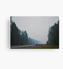 Get lost in Glacier Park Canvas Print
