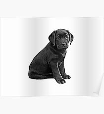 Black Lab - Lab Mom Poster