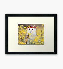 Barn Owl Framed Print