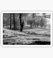 Snowy Recovery- Black & White Sticker
