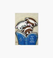 How To Book Art Board