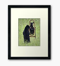 Black Bear Reflection Framed Print