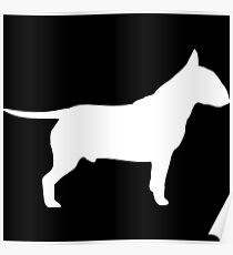 White Bull Terrier Poster