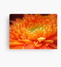 Summer Joy Canvas Print