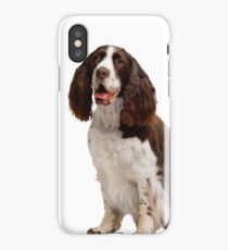 Spaniel iPhone Case