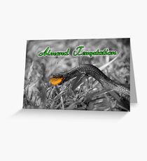 Almond Temptation Greeting Card