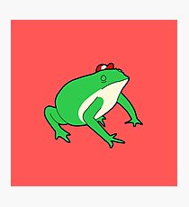 Slippy Toad Photographic Print