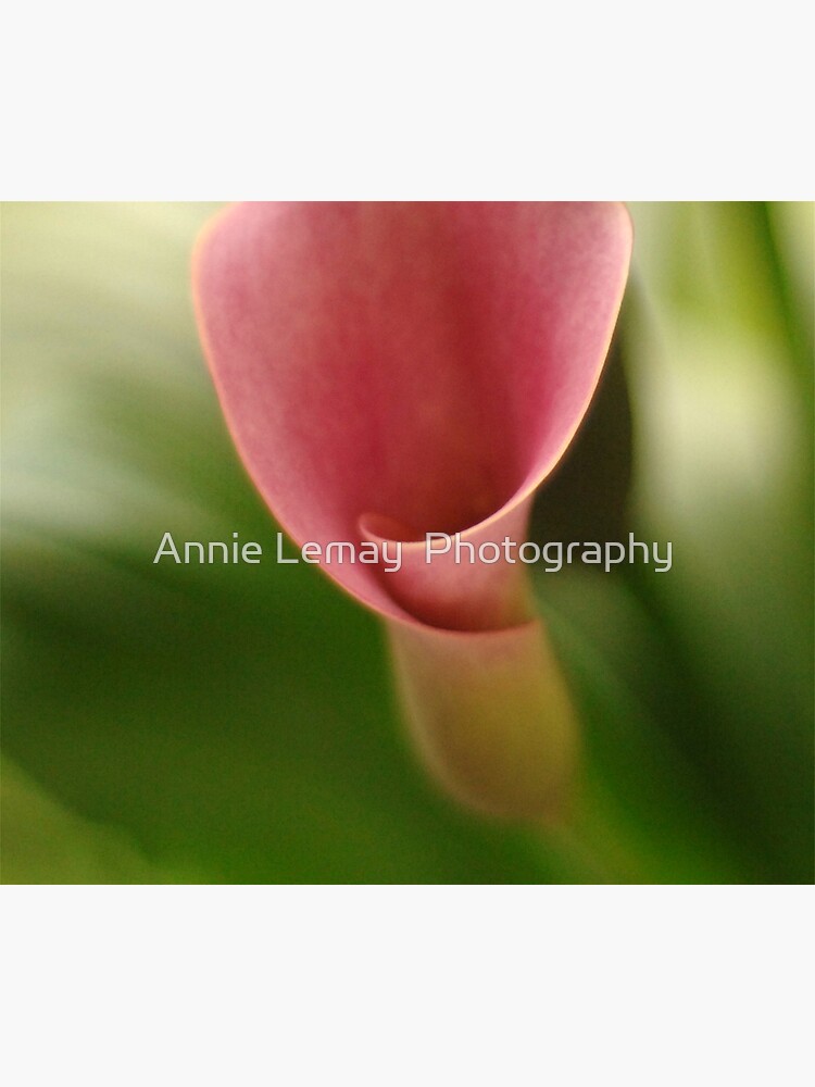 Growing Up by ajlphotography