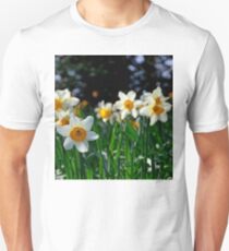 Daffodils, Unisex T-Shirt