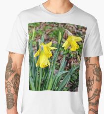 Daffodils, Men's Premium T-Shirt
