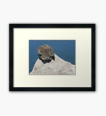Well Balanced Framed Print