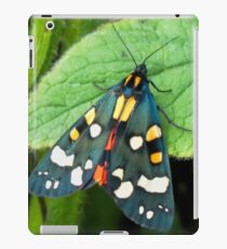 Tiger Moth.........Lyme Regis. Dorset UK iPad Case/Skin