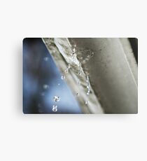 drops Metal Print
