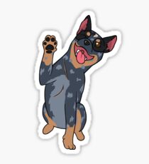 Blue Heeler Sticker