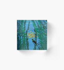 abzu Acrylic Block