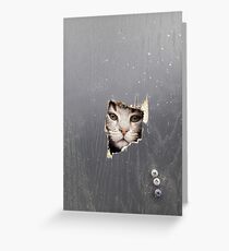 Here's Kitty- Funny cat picture Greeting Card