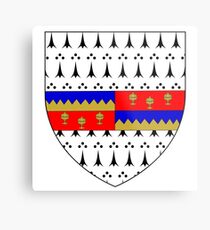 Coat of Arms of County Tipperary, Ireland Metal Print