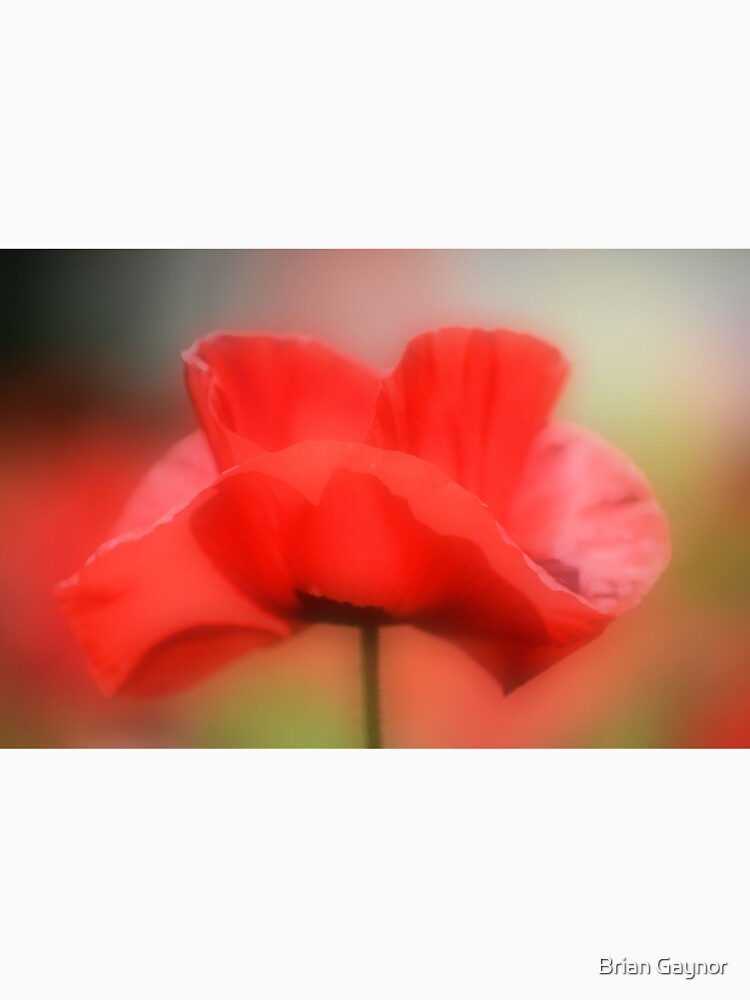 One Among Many by bgaynor