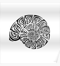 Ammonite Prehistoric Fossil Poster