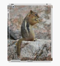 Open Wide, Mr. Chipmunk! iPad Case/Skin
