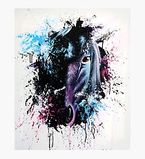 Horse Photographic Print