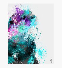 Otter Photographic Print