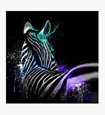 Zebra Night Photographic Print