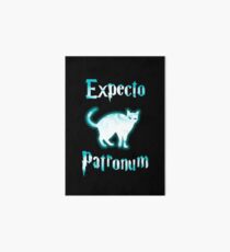 Expecto Patronum Cat. Art Board