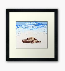 Tortoise on the beach Framed Print
