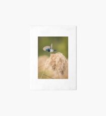 Taking Flight Art Board