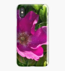 Branch of Briar With Flower With Water Drops iPhone Case