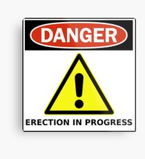 Danger - Funny Sign Metal Print