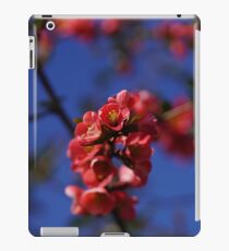 Tree blossom iPad Case/Skin