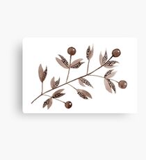 Brown Berries (horizontal) Canvas Print