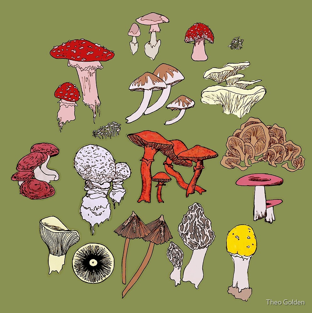 Goblincore Art грибы