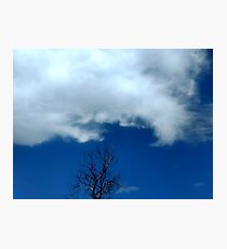 Cloud and Tree Photographic Print