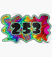 ABSTRACT, GROOVY, AND PSYCHEDELIC 253 DESIGN - VIBRANT COLORS WITH YOUR FAVORITE AREA CODE Poster