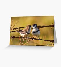 Love Birds Greeting Card