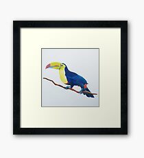 The Toucan (Ramphastidae) Framed Print