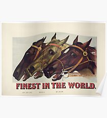 Finest in the World - Vintage Horse Racing Print Poster