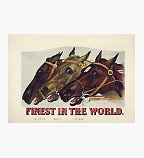 Finest in the World - Vintage Horse Racing Print Photographic Print