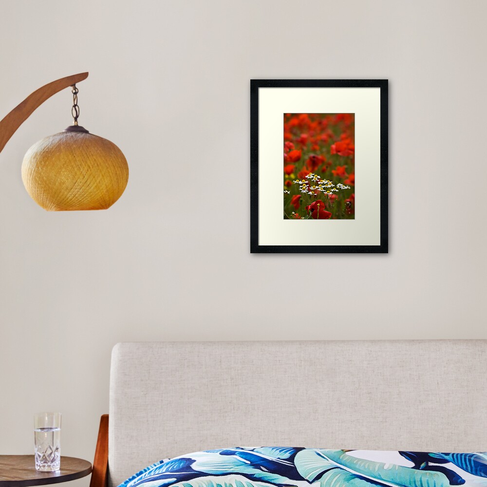 Poppies and Daises Framed Art Print