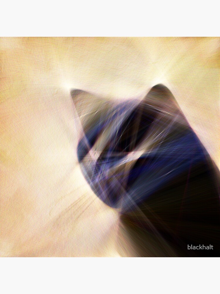 Abstract cat by blackhalt